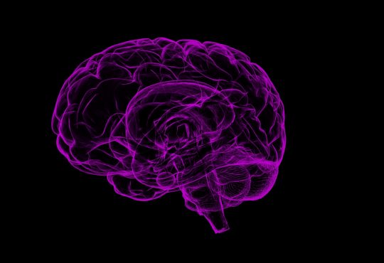 Indécision scolaire et professionnelle : et si le cerveau des ados nous éclairait un peu.