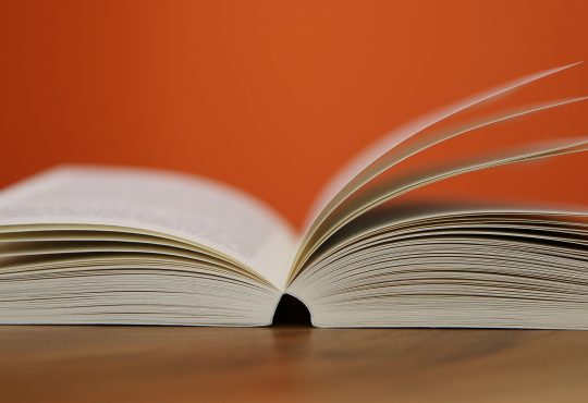 5 livres pour les intervenants en organisation
