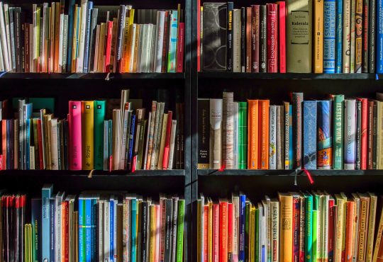 Parmi tous les livres publiés dernièrement, en voici 6 qui ont retenu notre attention