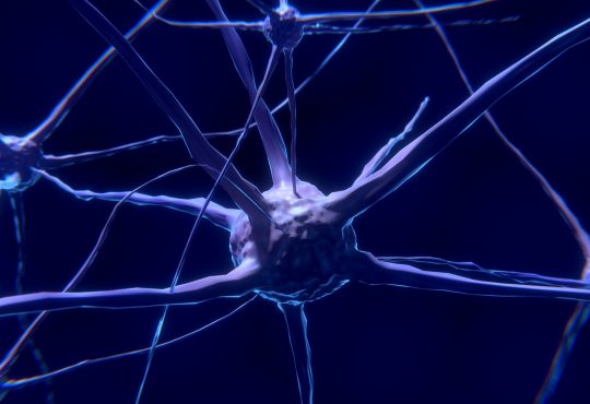 LA PERSPECTIVE BIOPSYCHOLOGIQUE DU COMPORTEMENT (PBPC) POUR COMPRENDRE LE DÉVELOPPEMENT DES 15 STYLES DE LA PERSONNALITÉ, UN MODÈLE ÉMERGENT