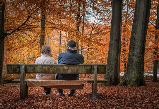 6 études en lien avec la retraite