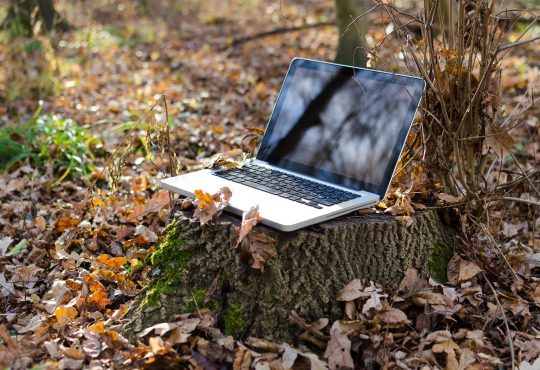 4 événements en ligne à ne pas manquer à l’automne 2021