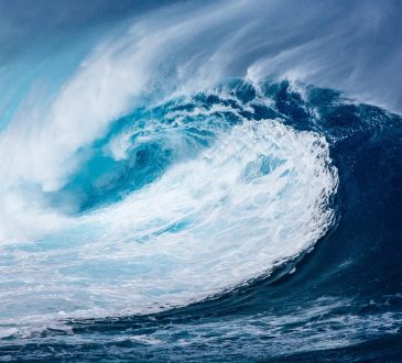 La vague de changements en développement de carrière; le tsunami après la pandémie