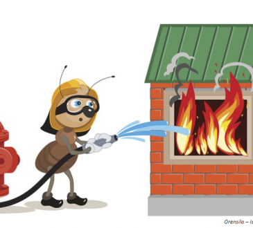 Pompier ou fourmi? Ces modes d’intervention qui favorisent un bien-être durable