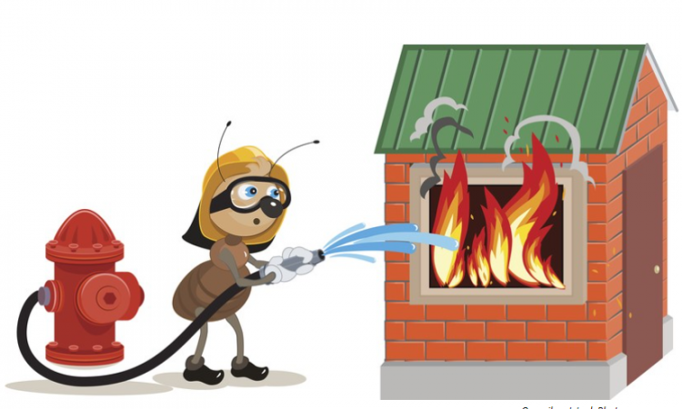 Pompier ou fourmi? Ces modes d’intervention qui favorisent un bien-être durable