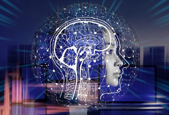 Les tests de QI sont-ils culturellement biaisés?