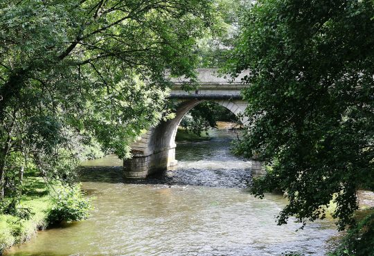 Orientation et développement de carrière : entre gènes et culture