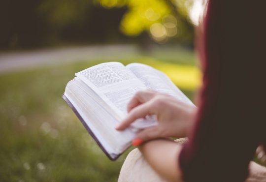 Lecture d’été : 6 livres sur l’emploi et la carrière qui pourraient vous intéresser