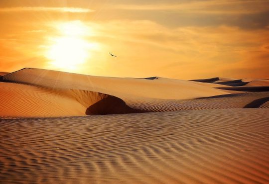 Des métaphores sur le sable pour explorer sa vie