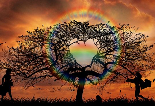 5 ressources pour supporter la clientèle LGBTQ+ en milieu de travail