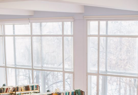 6 recommandations de lecture