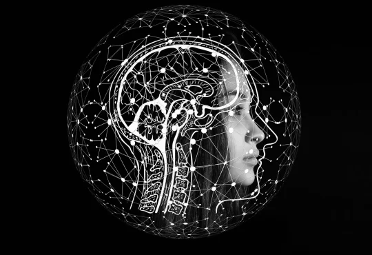Révolution numérique : de l’informatique à l’intelligence artificielle