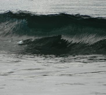 Dans un counseling de carrière, aider un client à raisonner en termes de besoins ici et maintenant et de projections dans le futur suppose que le conseiller veuille et puisse adopter une attitude à la fois flexible et de directionnalité. La flexibilité consiste à éclairer et respecter son processus psychologique, son rythme d'apprentissage et ses valeurs.