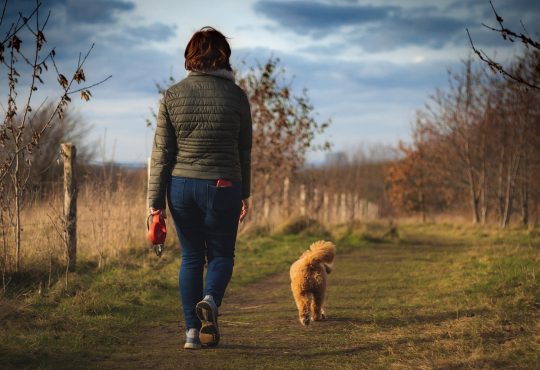 Les effets de la marche sur la santé en général sont assez connus, mais moins ceux sur la santé cognitive alors qu’ils sont pourtant spectaculaires.  