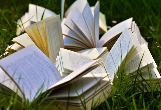Livres ouverts sur le gazon.