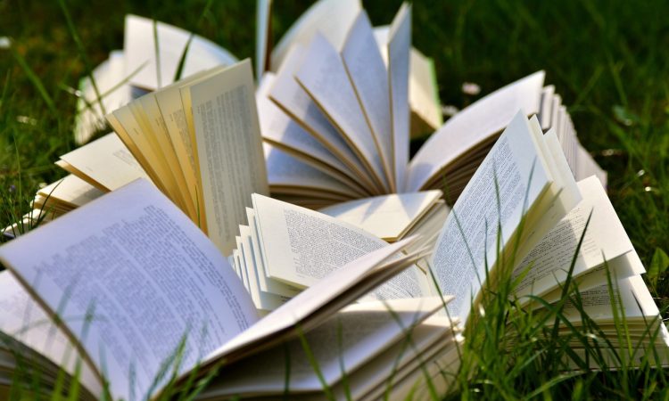 Livres ouverts sur le gazon.