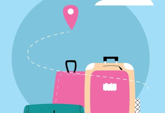 Valises